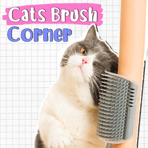 Cats Brush Corner