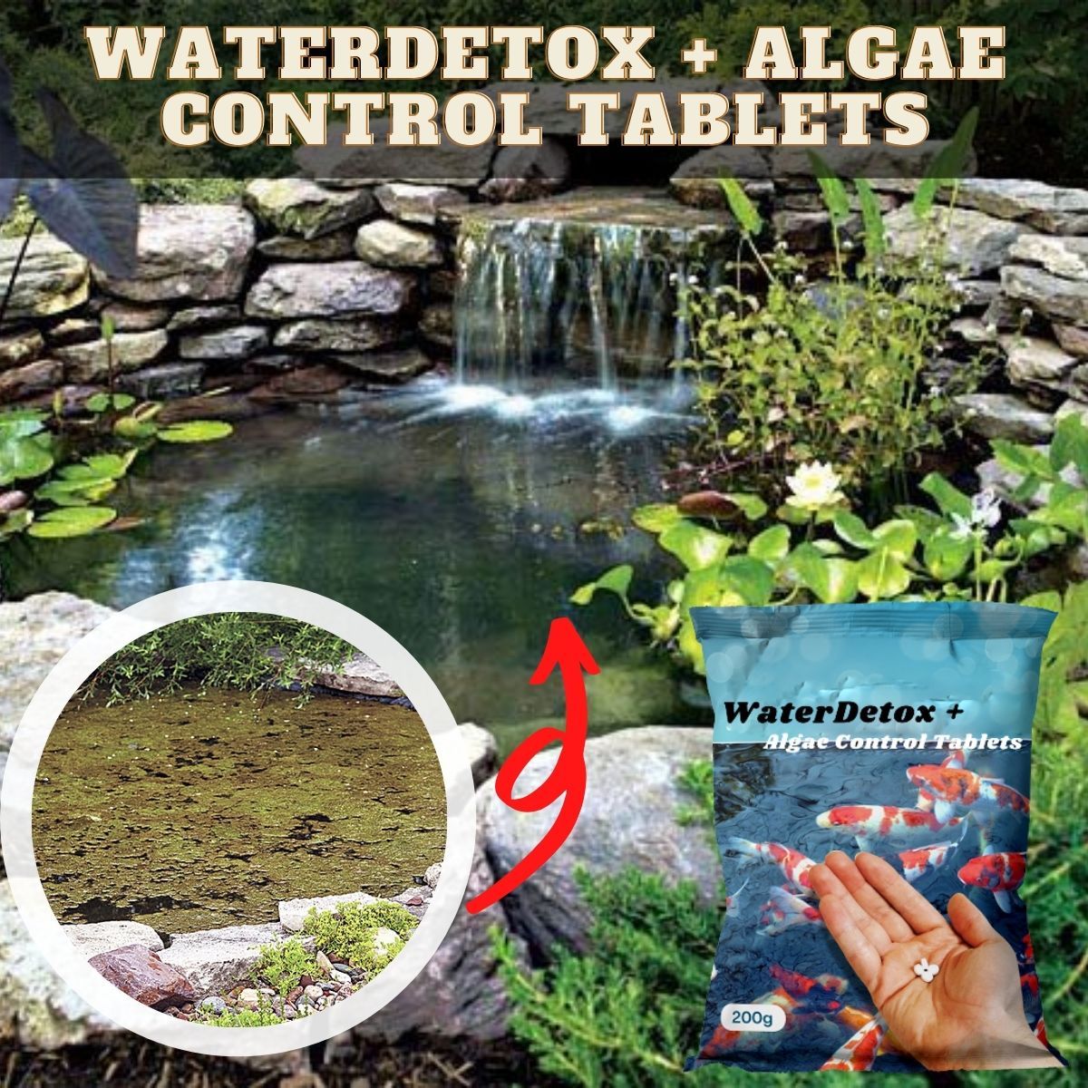 WaterDetox + Algae Control Tablets