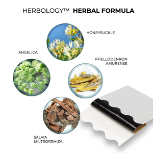 Herbology™ Varicose Veins Plaster