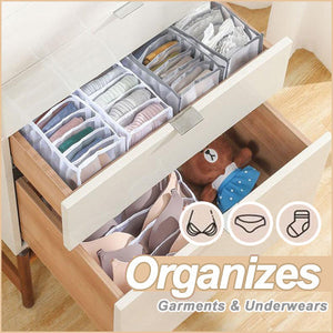 MeshGrid™ Underwear Storage Organizer